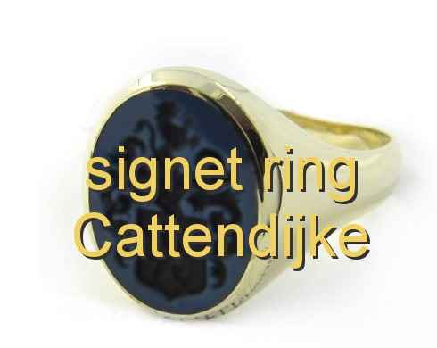 signet ring Cattendijke