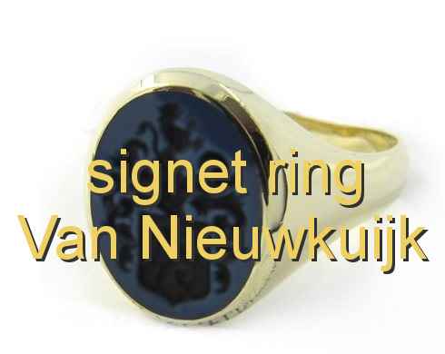 signet ring Van Nieuwkuijk