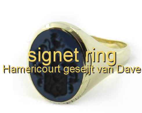 signet ring Hamericourt geseijt van Dave