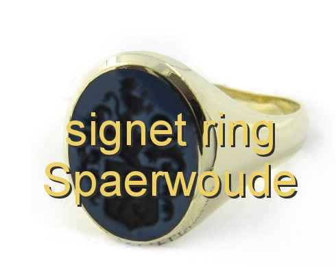 signet ring Spaerwoude